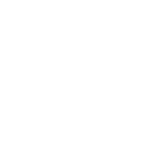 Диагностические работы